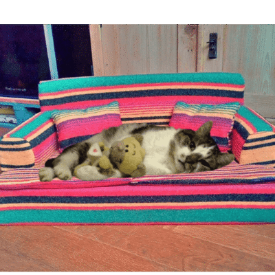 .Bankje Mexicaans voor kat/klein hondje