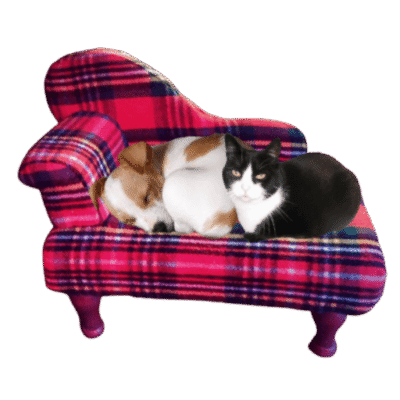 .Chaise longue bank geruite plaidstof