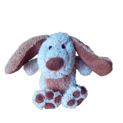 Hondje zittend bruintinten