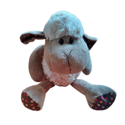 Schaap zittend