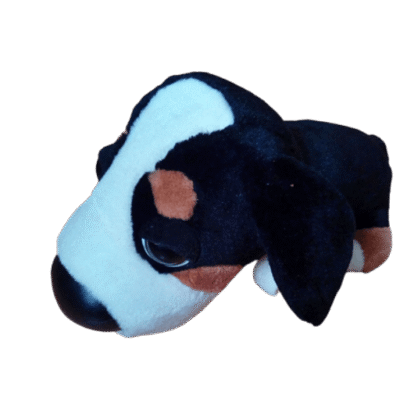 Hond met grote kop