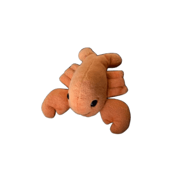 Krab oranje