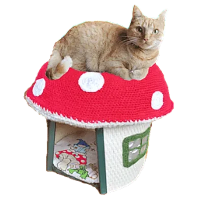 Leuke hutjes, tipi's en iglo’s