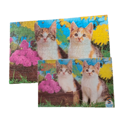 Puzzel 2 kittens en bloemen (360 stukjes)